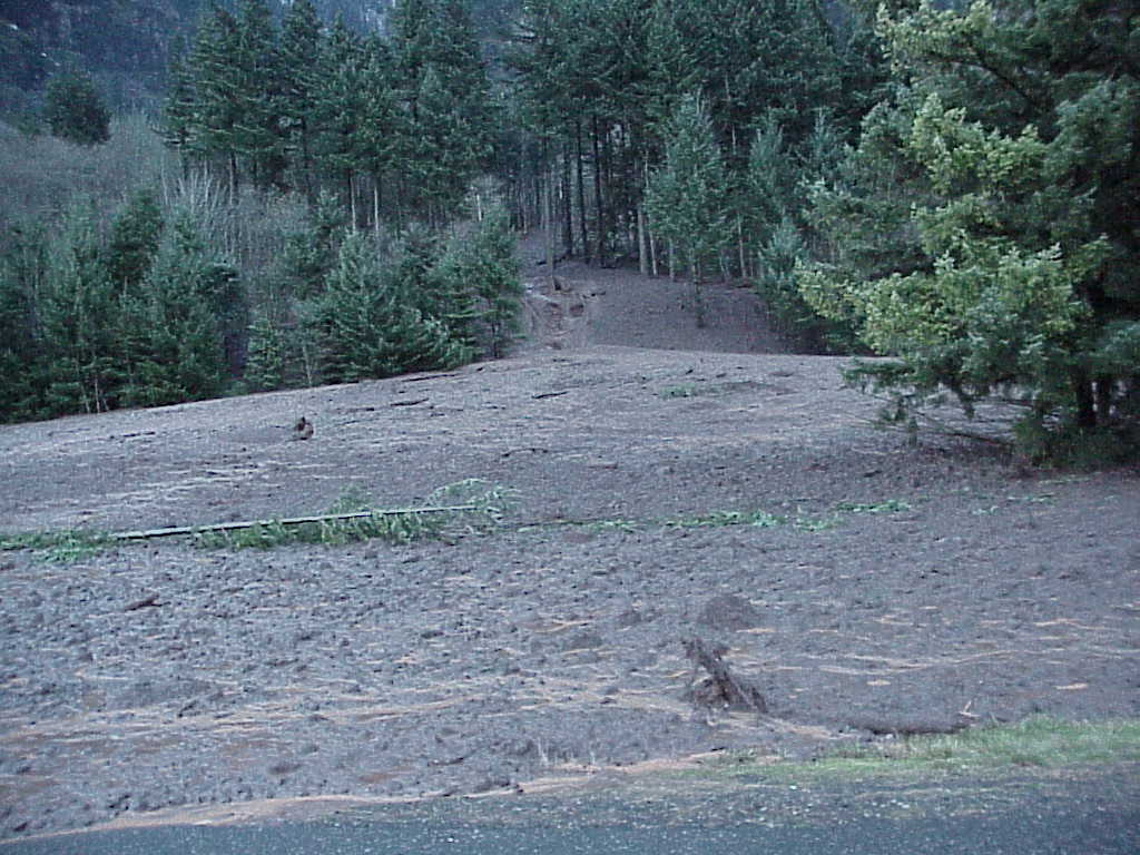 Debris Flow Image